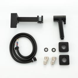 Смеситель с гигиеническим душем Frap F7591-6