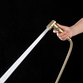 Смеситель с гигиеническим душем Frap F2075-3